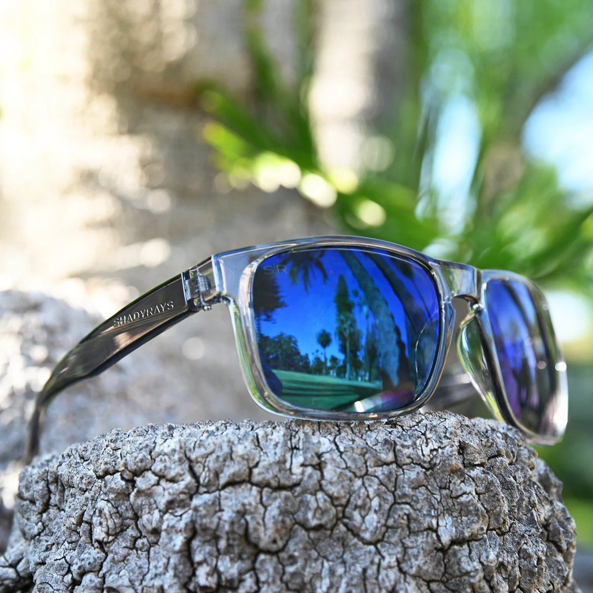 Sunglasses & Eyewear