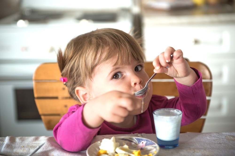 Toddler Foods  & Baby