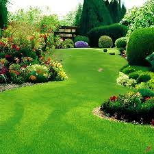 Lawn & Garden