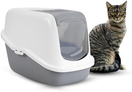Litter & Toilet