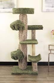 Trees, Condos & Scratchers