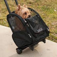 Carriers & Travel