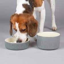 Bowls & Feeders