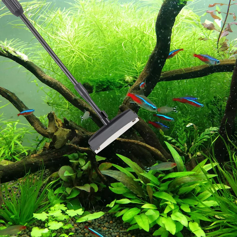 Aquarium Cleaning Tools