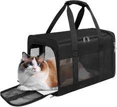 Carriers & Travel
