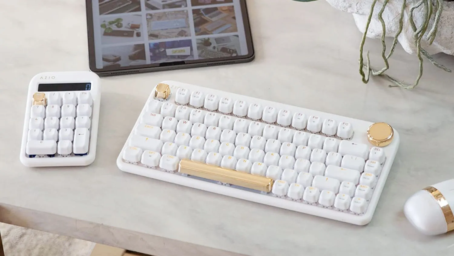 Tablet Accessories